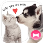 puppy and kitten +home android application logo